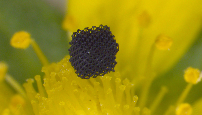 A piece of graphene nestled on top of a flower pestle.