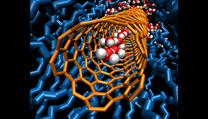 A chain of water molecules inside an inner pore of a carbon nanotube