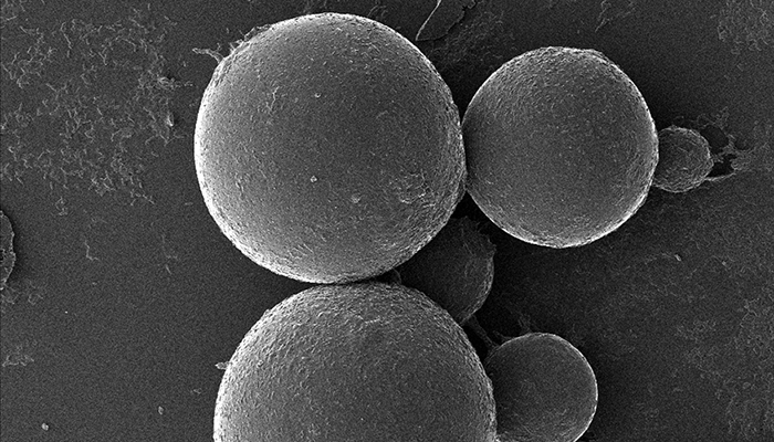 Microbe capsules